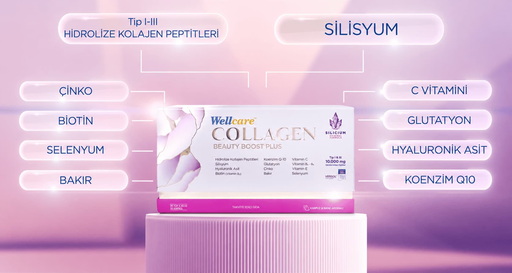 WELLCARE — Wellcare Collagen